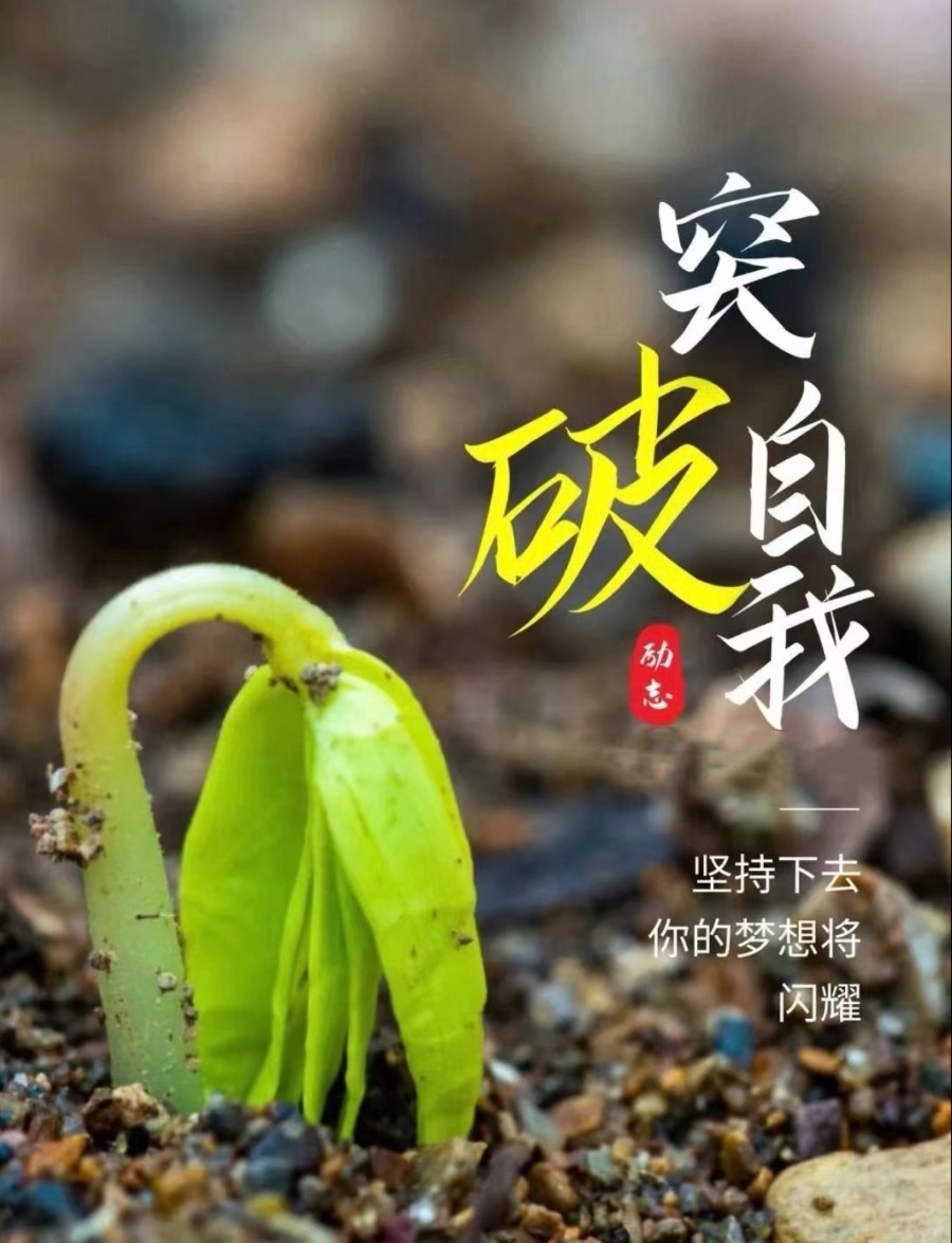 在过程中扎根,于岁月里开花 - 2023级商务英语班 - 中职易班 学生互动社区